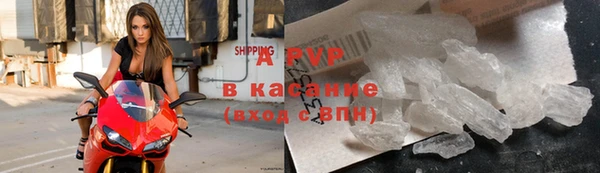 прущие крисы Балахна