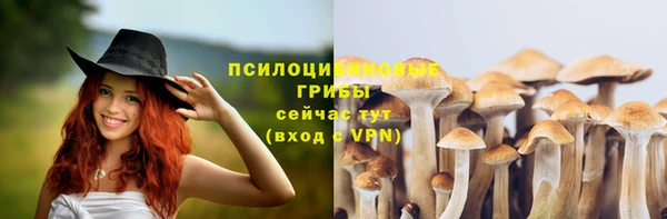 прущие крисы Баксан