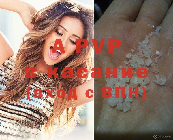 прущие крисы Балахна
