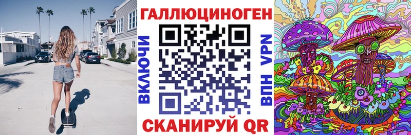 где найти   Лакинск  Псилоцибиновые грибы Psilocybe 